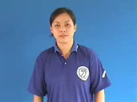 chèn - Ngôn Ngữ ký Hiệu - Vùng miền Hà Nội - Phân loại Tin học