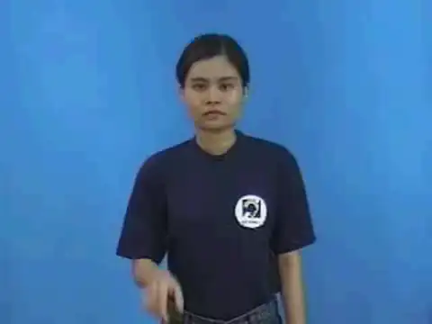 chim - Ngôn Ngữ ký Hiệu - Vùng miền Thành Phố Hồ Chí Minh - Phân loại Con vật