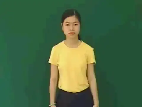 chim chích chòe - Ngôn Ngữ ký Hiệu - Vùng miền Huế - Phân loại Con vật