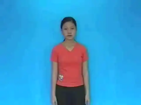 chim đại bàng - Ngôn Ngữ ký Hiệu - Vùng miền Lâm Đồng - Phân loại Con vật
