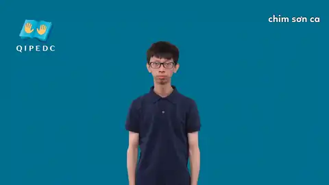 chim sơn ca - Ngôn Ngữ ký Hiệu - Vùng miền Toàn Quốc - Phân loại Con vật
