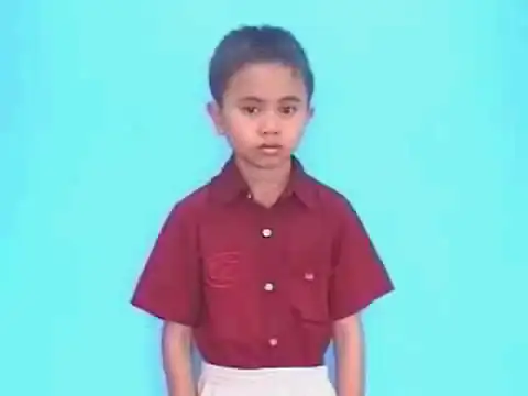 chim vẹt - Ngôn Ngữ ký Hiệu - Vùng miền Lâm Đồng - Phân loại Con vật