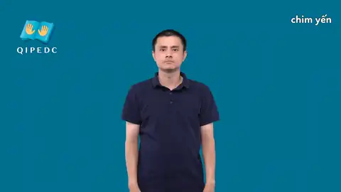 chim yến - Ngôn Ngữ ký Hiệu - Vùng miền Toàn Quốc - Phân loại Con vật
