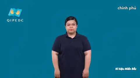 chính phủ - Ngôn Ngữ ký Hiệu - Vùng miền Hà Nội - Phân loại Xã hội