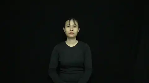 chính phủ - Ngôn Ngữ ký Hiệu - Vùng miền Thành Phố Hồ Chí Minh - Phân loại Xã hội