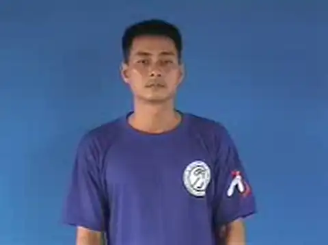 chọi gà - Ngôn Ngữ ký Hiệu - Vùng miền Hà Nội - Phân loại Lễ hội