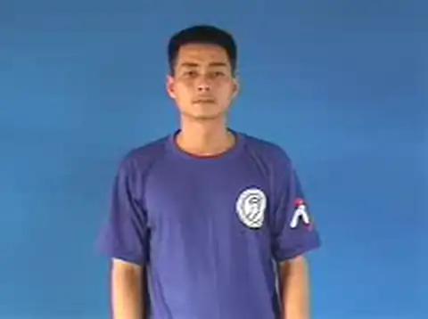 chức năng - Ngôn Ngữ ký Hiệu - Vùng miền Hà Nội - Phân loại Tính cách - Tính chất
