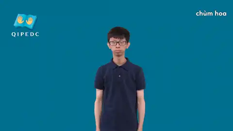 chùm hoa - Ngôn Ngữ ký Hiệu - Vùng miền Toàn Quốc - Phân loại Thực Vật