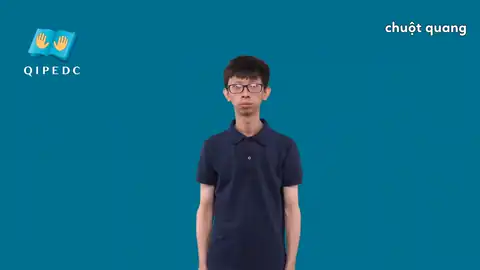 chuột quang - Ngôn Ngữ ký Hiệu - Vùng miền Toàn Quốc - Phân loại Khác