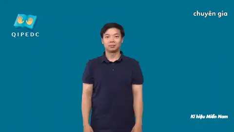 chuyên gia - Ngôn Ngữ ký Hiệu - Vùng miền Thành Phố Hồ Chí Minh - Phân loại Danh Từ