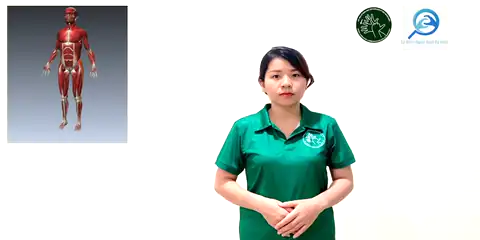 cơ - Ngôn Ngữ ký Hiệu - Vùng miền Thành Phố Hồ Chí Minh - Phân loại Sức khỏe - Bộ phận cơ thể, Danh Từ, Dự Án 250 Ký Hiệu Y Khoa