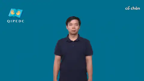 cổ chân - Ngôn Ngữ ký Hiệu - Vùng miền Toàn Quốc - Phân loại Bộ Phận Cơ Thể