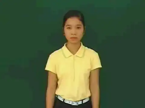 cờ đảng - Ngôn Ngữ ký Hiệu - Vùng miền Huế - Phân loại Đồ vật