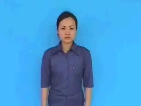 cờ đỏ sao vàng - Ngôn Ngữ ký Hiệu - Vùng miền Hải Phòng - Phân loại Đồ vật