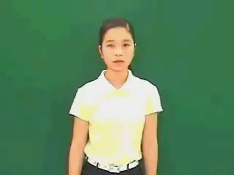 cờ đỏ sao vàng - Ngôn Ngữ ký Hiệu - Vùng miền Huế - Phân loại Đồ vật