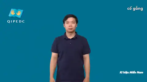 cố gắng - Ngôn Ngữ ký Hiệu - Vùng miền Thành Phố Hồ Chí Minh - Phân loại Từ thông dụng
