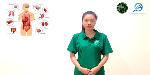 cơ quan (cơ thể) - Ngôn Ngữ ký Hiệu - Vùng miền Thành Phố Hồ Chí Minh - Phân loại Sức khỏe - Bộ phận cơ thể, Danh Từ, Dự Án 250 Ký Hiệu Y Khoa