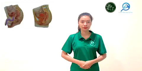 cơ quan sinh dục - Ngôn Ngữ ký Hiệu - Vùng miền Thành Phố Hồ Chí Minh - Phân loại Sức khỏe - Bộ phận cơ thể, Danh Từ, Dự Án 250 Ký Hiệu Y Khoa