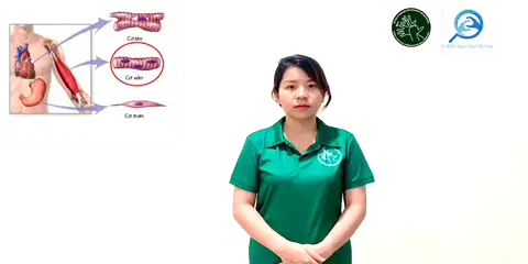 cơ vân - Ngôn Ngữ ký Hiệu - Vùng miền Thành Phố Hồ Chí Minh - Phân loại Sức khỏe - Bộ phận cơ thể, Danh Từ, Dự Án 250 Ký Hiệu Y Khoa