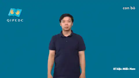 con bò - Ngôn Ngữ ký Hiệu - Vùng miền Thành Phố Hồ Chí Minh - Phân loại Con vật