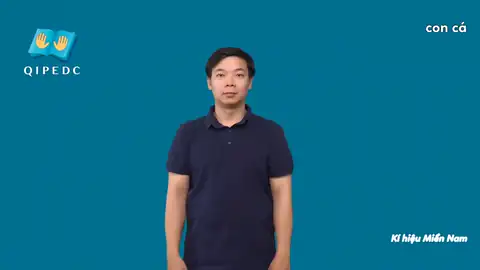con cá - Ngôn Ngữ ký Hiệu - Vùng miền Thành Phố Hồ Chí Minh - Phân loại Con vật