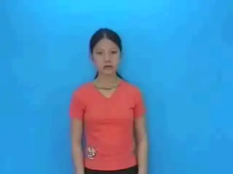 con cáo - Ngôn Ngữ ký Hiệu - Vùng miền Lâm Đồng - Phân loại Con vật