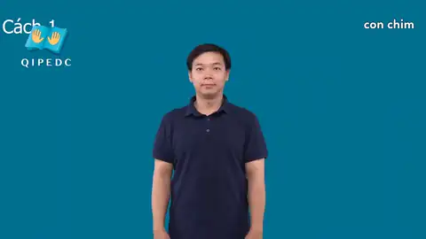 con chim - Ngôn Ngữ ký Hiệu - Vùng miền Toàn Quốc - Phân loại Con vật