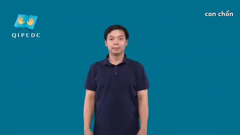 con chồn - Ngôn Ngữ ký Hiệu - Vùng miền Toàn Quốc - Phân loại Con vật