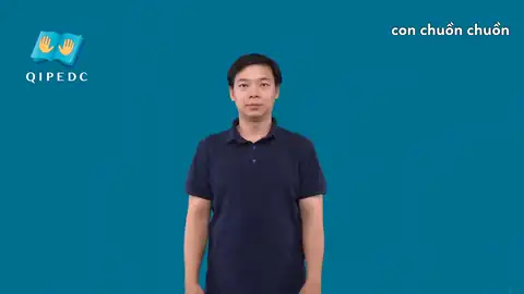 con chuồn chuồn - Ngôn Ngữ ký Hiệu - Vùng miền Toàn Quốc - Phân loại Con vật