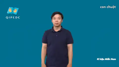 con chuột - Ngôn Ngữ ký Hiệu - Vùng miền Thành Phố Hồ Chí Minh - Phân loại Con vật