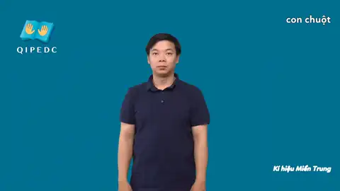 con chuột - Ngôn Ngữ ký Hiệu - Vùng miền Miền Trung - Phân loại Con vật