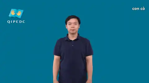con cò - Ngôn Ngữ ký Hiệu - Vùng miền Toàn Quốc - Phân loại Con vật