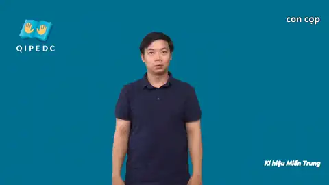 con cọp - Ngôn Ngữ ký Hiệu - Vùng miền Miền Trung - Phân loại Con vật