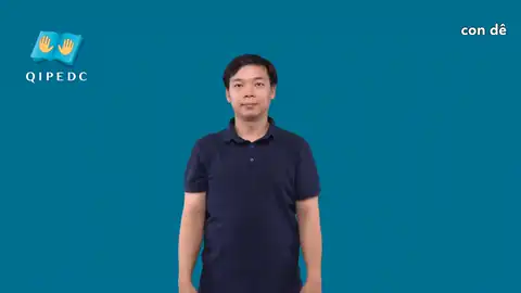 con dê - Ngôn Ngữ ký Hiệu - Vùng miền Toàn Quốc - Phân loại Con vật