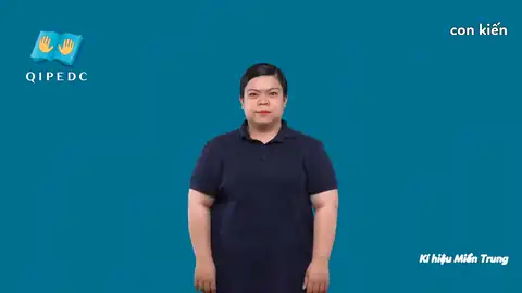 con kiến - Ngôn Ngữ ký Hiệu - Vùng miền Miền Trung - Phân loại Con vật