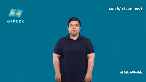 con lợn (con heo) - Ngôn Ngữ ký Hiệu - Vùng miền Hà Nội - Phân loại Con vật