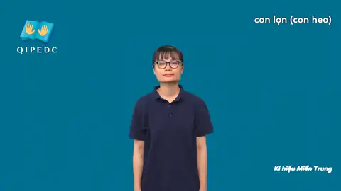 con lợn (con heo) - Ngôn Ngữ ký Hiệu - Vùng miền Miền Trung - Phân loại Con vật