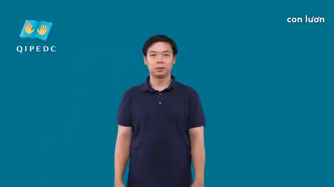 con lươn - Ngôn Ngữ ký Hiệu - Vùng miền Toàn Quốc - Phân loại Con vật