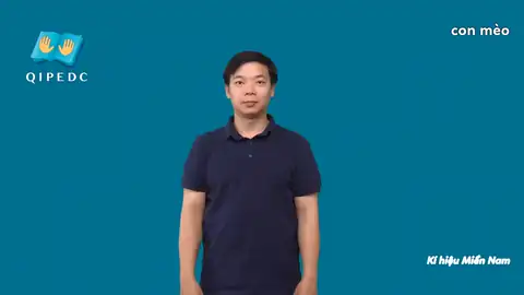 con mèo - Ngôn Ngữ ký Hiệu - Vùng miền Thành Phố Hồ Chí Minh - Phân loại Con vật
