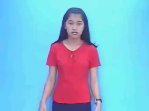 con muỗi - Ngôn Ngữ ký Hiệu - Vùng miền Lâm Đồng - Phân loại Con vật