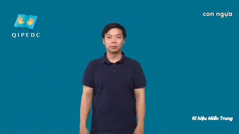 Con ngựa - Ngôn Ngữ ký Hiệu - Vùng miền Thành Phố Hồ Chí Minh - Phân loại Con vật