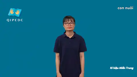 con nuôi - Ngôn Ngữ ký Hiệu - Vùng miền Miền Trung - Phân loại Khác, Danh Từ