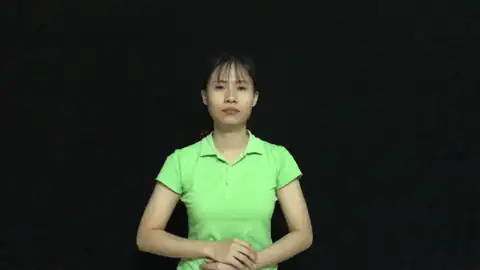 con ong - Ngôn Ngữ ký Hiệu - Vùng miền Thành Phố Hồ Chí Minh - Phân loại Con vật