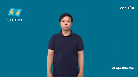 con rùa - Ngôn Ngữ ký Hiệu - Vùng miền Toàn Quốc - Phân loại Con vật