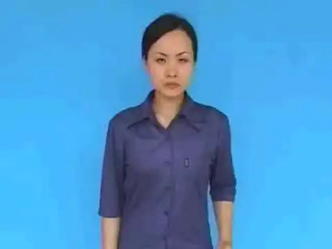 con ruồi - Ngôn Ngữ ký Hiệu - Vùng miền Hải Phòng - Phân loại Con vật
