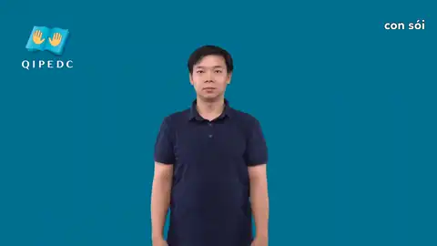 con sói - Ngôn Ngữ ký Hiệu - Vùng miền Toàn Quốc - Phân loại Con vật