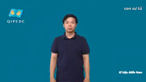 con sư tử - Ngôn Ngữ ký Hiệu - Vùng miền Thành Phố Hồ Chí Minh - Phân loại Con vật