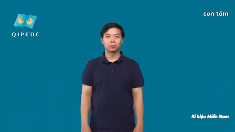 con tôm - Ngôn Ngữ ký Hiệu - Vùng miền Thành Phố Hồ Chí Minh - Phân loại Con vật