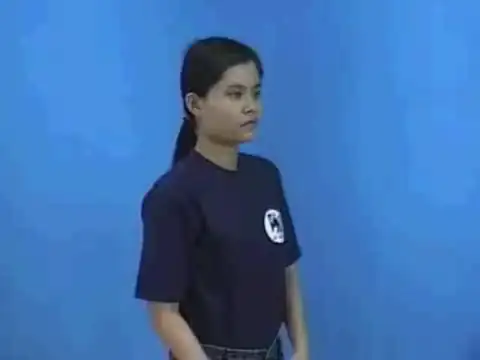 con trăn - Ngôn Ngữ ký Hiệu - Vùng miền Thành Phố Hồ Chí Minh - Phân loại Con vật