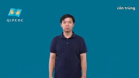 côn trùng - Ngôn Ngữ ký Hiệu - Vùng miền Toàn Quốc - Phân loại Con vật